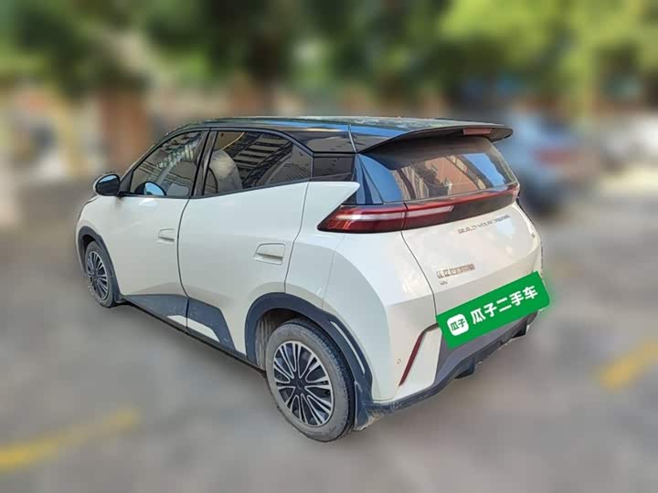 Фото 27 - BYD Seagull