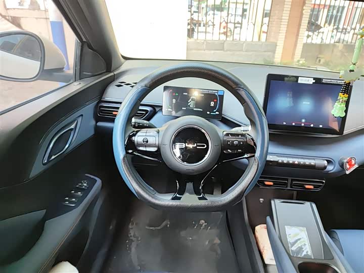 Фото 3 - BYD Seagull