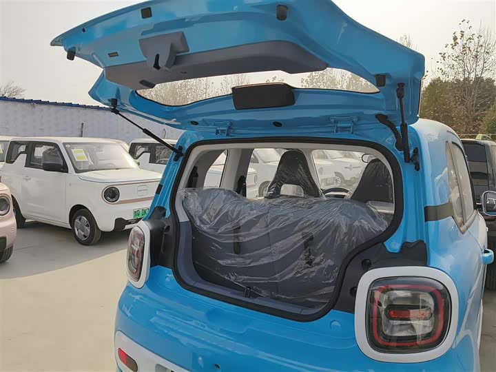 Фото 19 - Bestune Pony