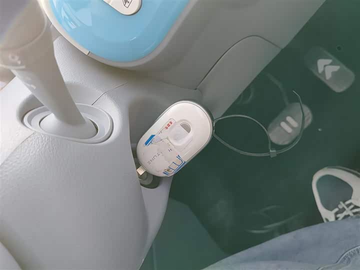 Фото 9 - Bestune Pony