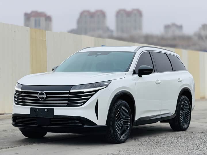 Фото 1 - Nissan Pathfinder