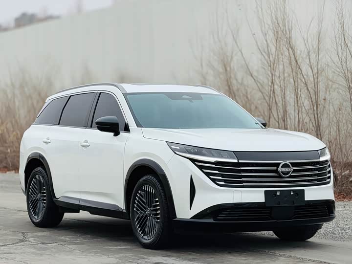 Фото 3 - Nissan Pathfinder