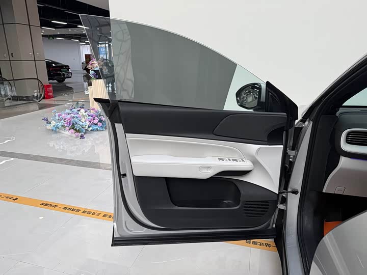 Фото 15 - XPeng G6