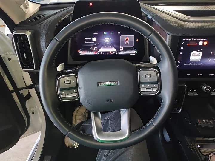 Фото 11 - Haval Dargo