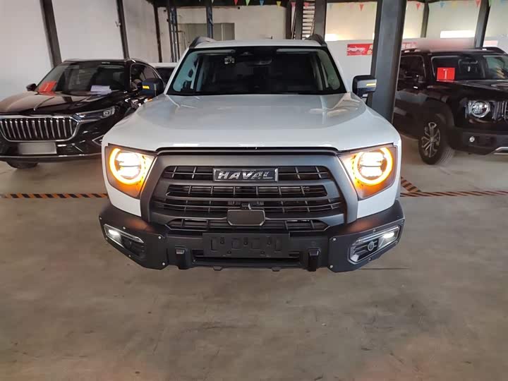 Фото 3 - Haval Dargo