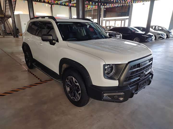 Фото 4 - Haval Dargo