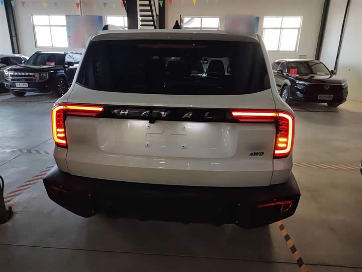 Фото 6 - Haval Dargo