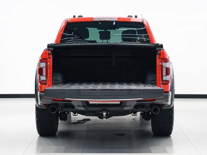 Фото 13 - Ford F-150 Raptor