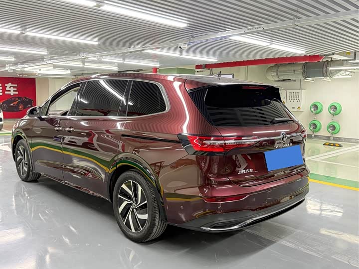 Фото 9 - Volkswagen Viloran