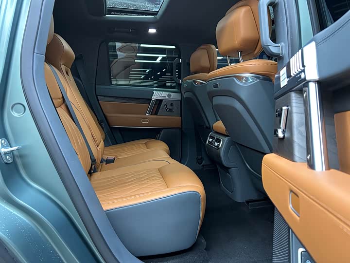 Фото 7 - Dongfeng Mengshi M-Hero 917