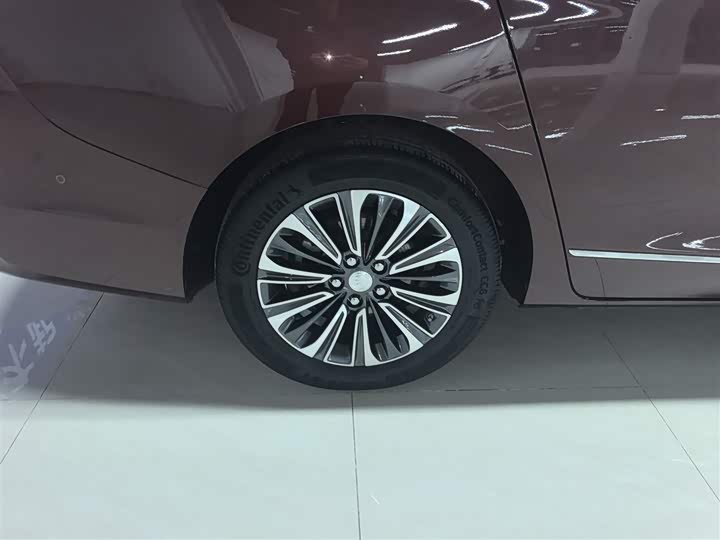 Фото 26 - Buick GL8 ES