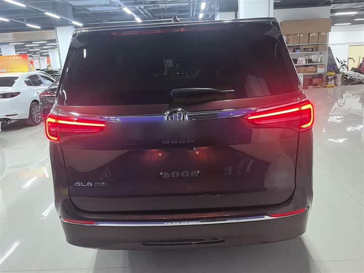 Фото 6 - Buick GL8 ES