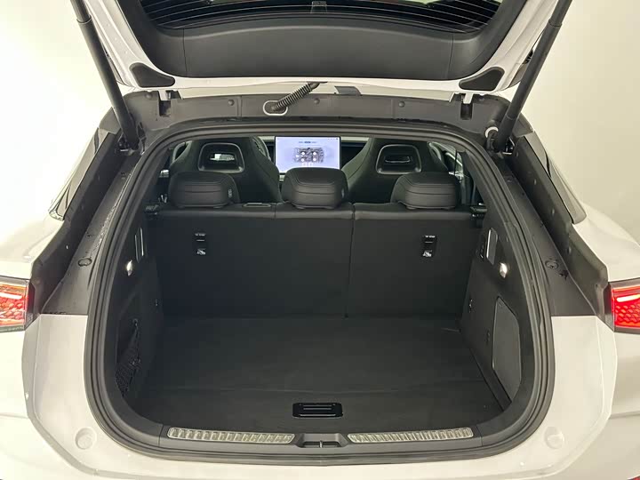 Фото 8 - BYD Sea Lion 07 EV