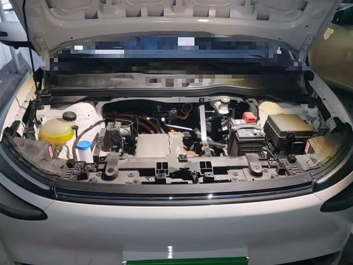 Фото 11 - Dongfeng Nammi 01