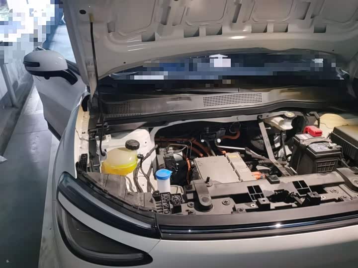 Фото 21 - Dongfeng Nammi 01