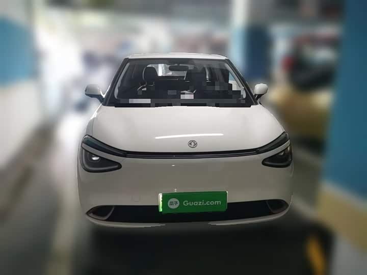 Фото 24 - Dongfeng Nammi 01