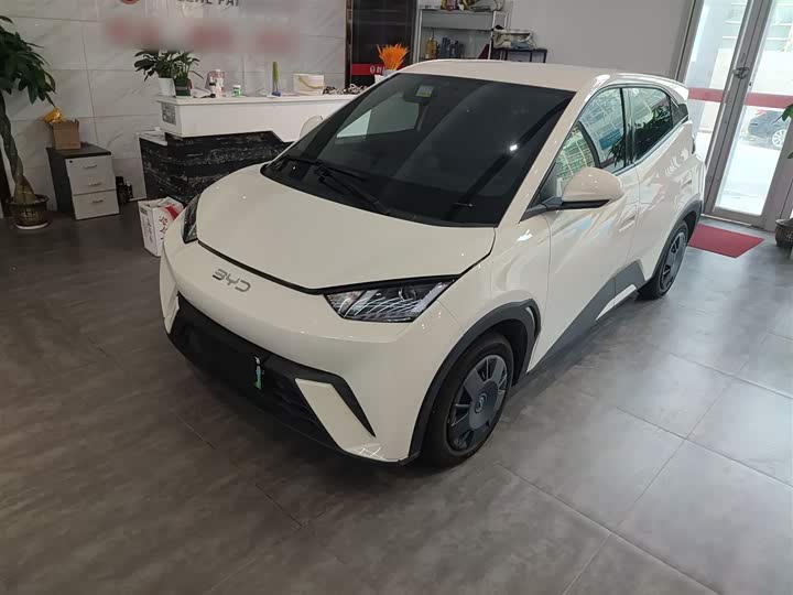 Фото 2 - BYD Seagull