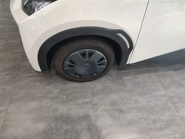 Фото 23 - BYD Seagull