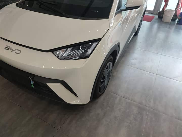 Фото 24 - BYD Seagull