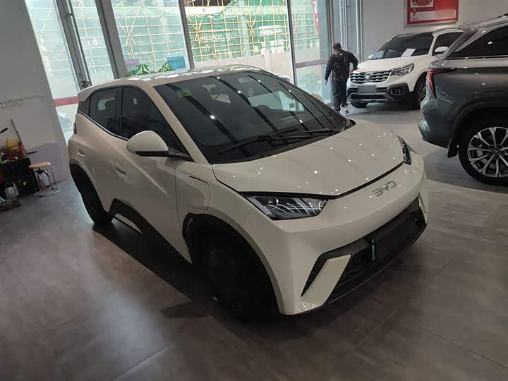 Фото 4 - BYD Seagull