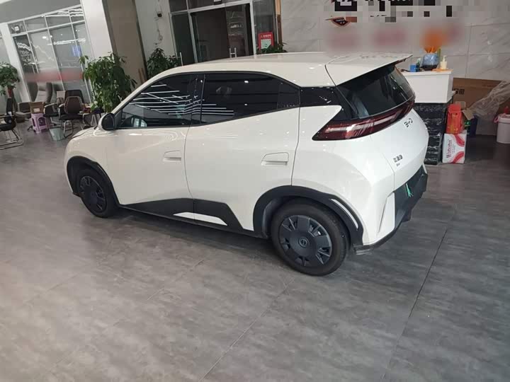 Фото 5 - BYD Seagull