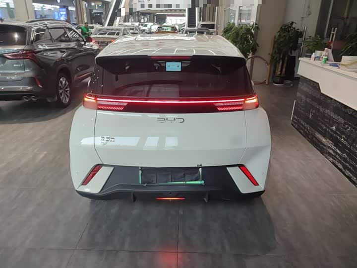 Фото 6 - BYD Seagull