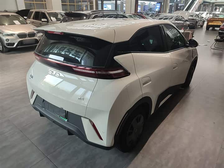 Фото 7 - BYD Seagull