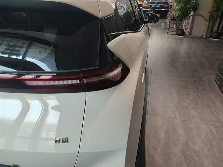 Фото 8 - BYD Seagull