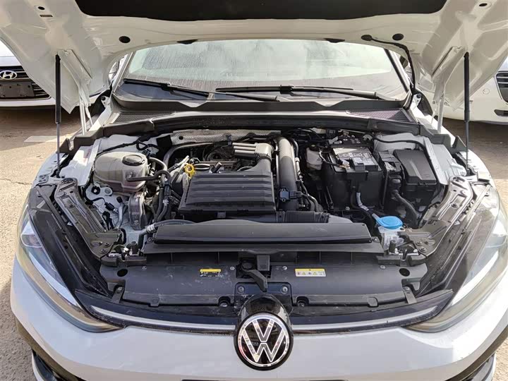 Фото 20 - Volkswagen Lamando L