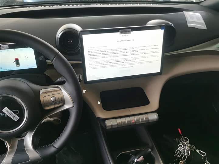 Фото 10 - BYD Dolphin