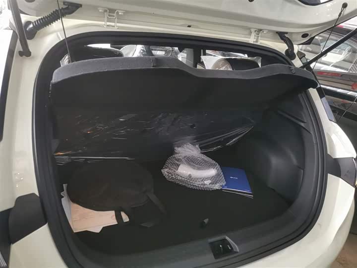 Фото 19 - BYD Dolphin