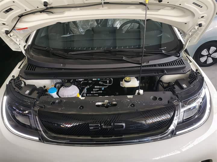 Фото 20 - BYD Dolphin