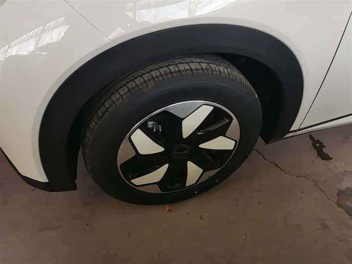 Фото 23 - BYD Dolphin