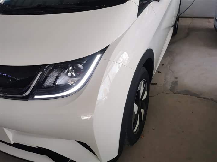 Фото 24 - BYD Dolphin