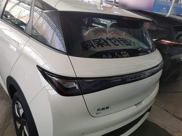 Фото 6 - BYD Dolphin