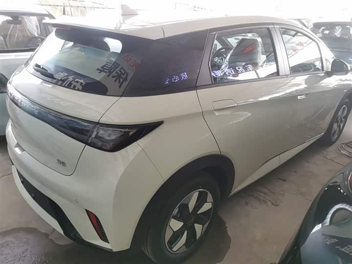 Фото 7 - BYD Dolphin