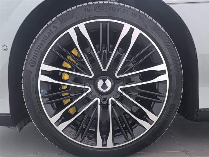 Фото 17 - Denza Z9GT