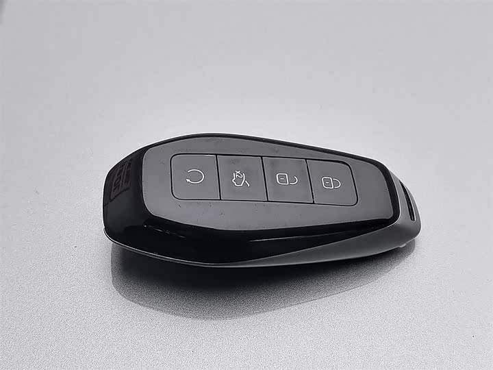 Фото 19 - Denza Z9GT