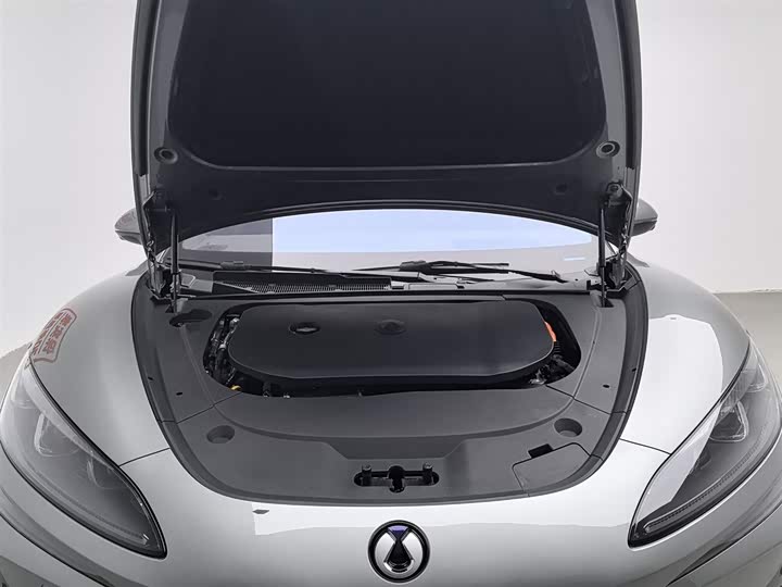 Фото 6 - Denza Z9GT