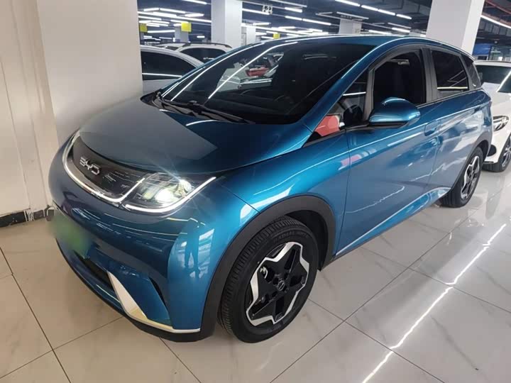 Фото 2 - BYD Dolphin