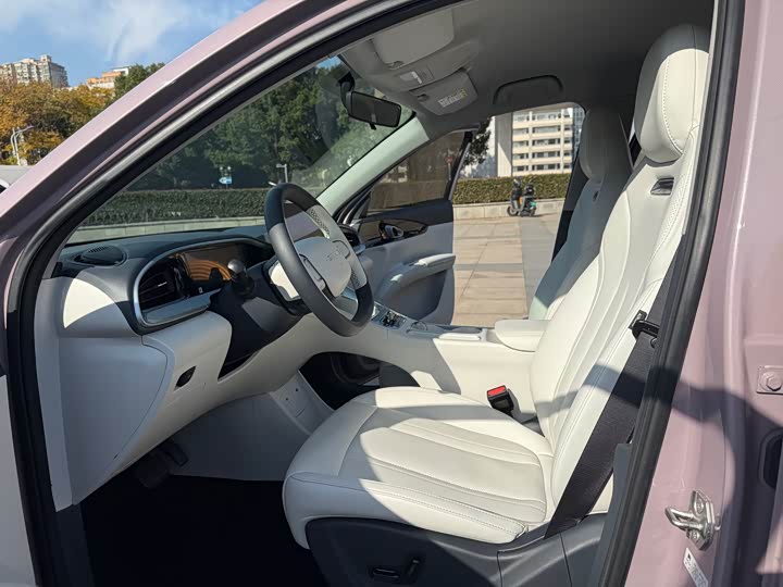 Фото 11 - Geely Galaxy Geome