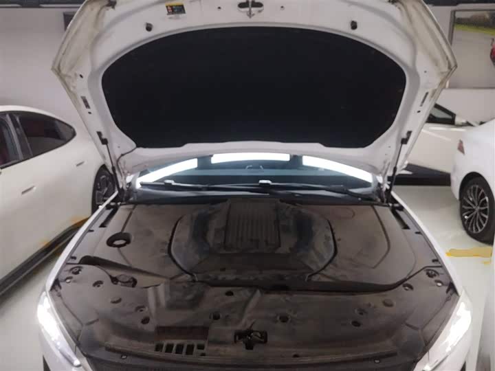 Фото 10 - BYD Qin Plus