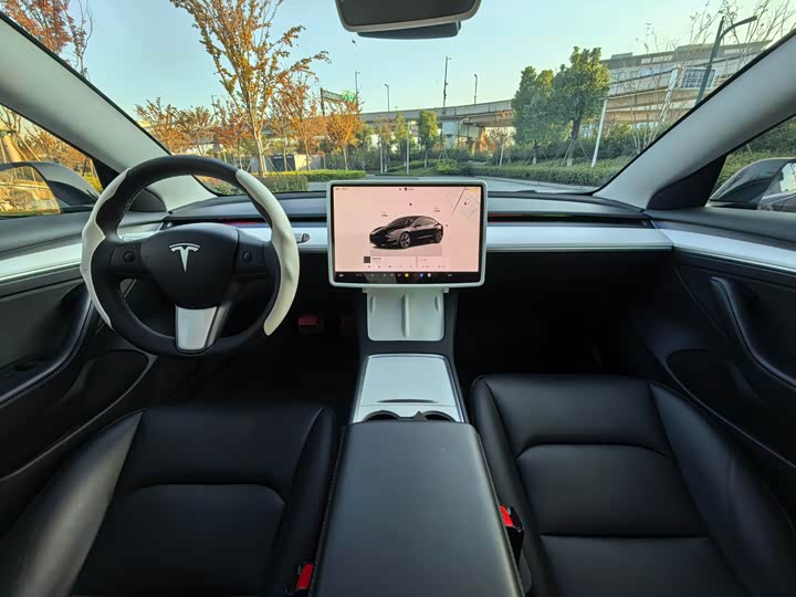 Фото 8 - Tesla Model 3