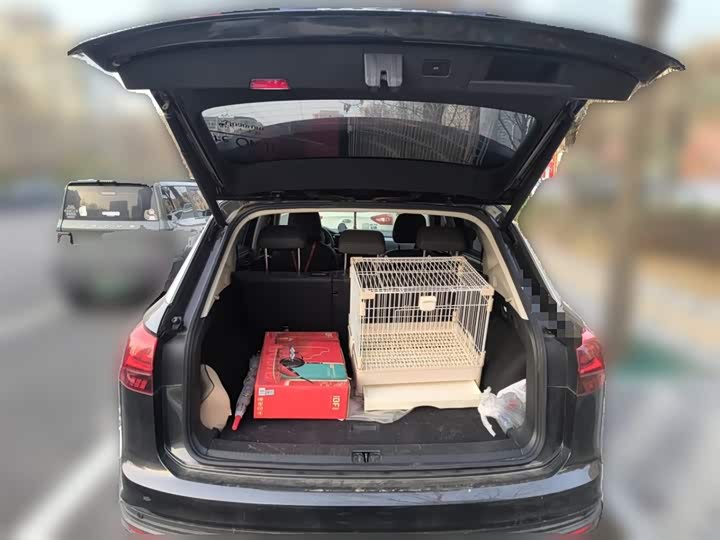 Фото 10 - Volkswagen Tayron