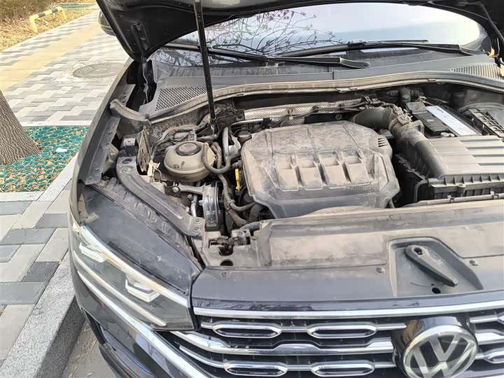 Фото 21 - Volkswagen Tayron