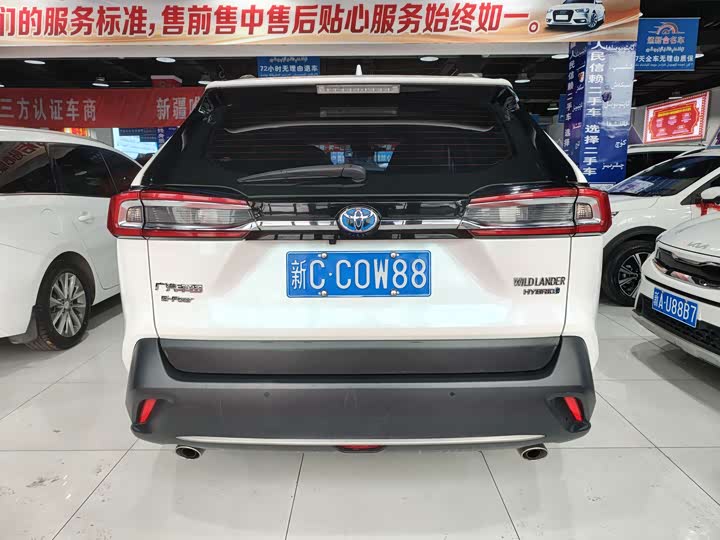 Фото 8 - Toyota Wildlander