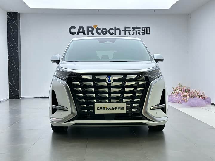 Фото 3 - Denza D9