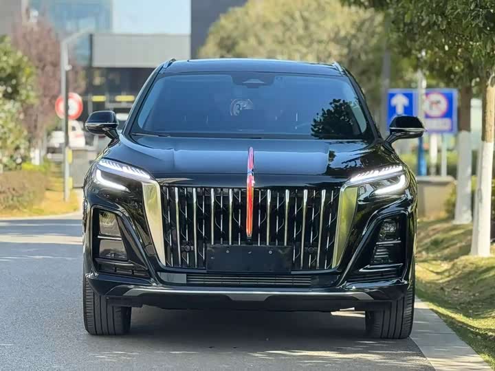 Фото 2 - Hongqi HS3 Hybrid