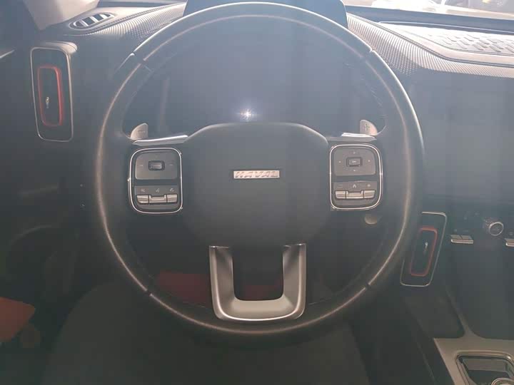 Фото 11 - Haval Dargo