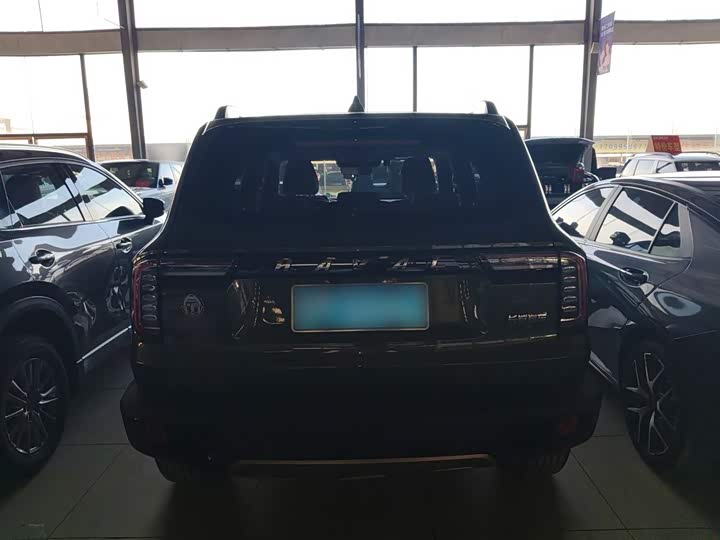 Фото 6 - Haval Dargo